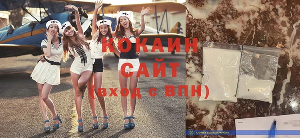 ГАЛЛЮЦИНОГЕННЫЕ ГРИБЫ Аркадак